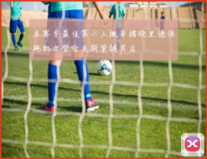 本赛季最佳第六人概率揭晓里德领跑凯尔登哈克斯紧随其后